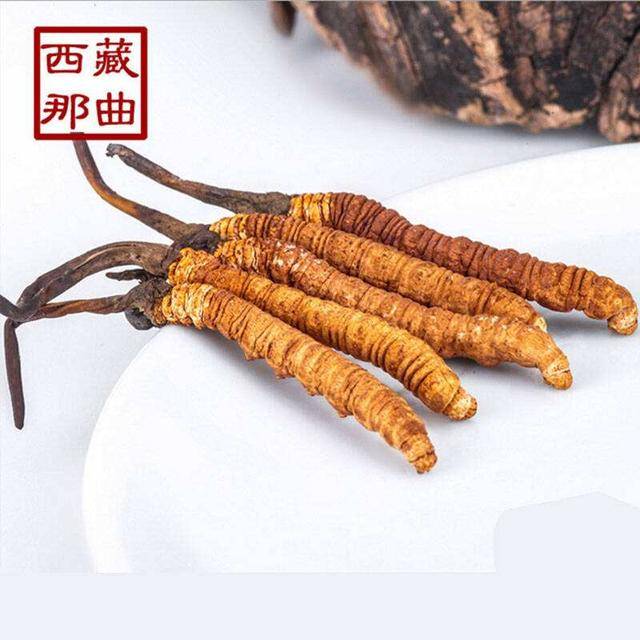 揭秘2025年蟲草最新價(jià)格，探尋小巷中的秘密行情！