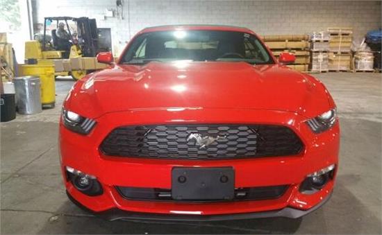 威路德最新款，小巷中的驚喜發(fā)現(xiàn)