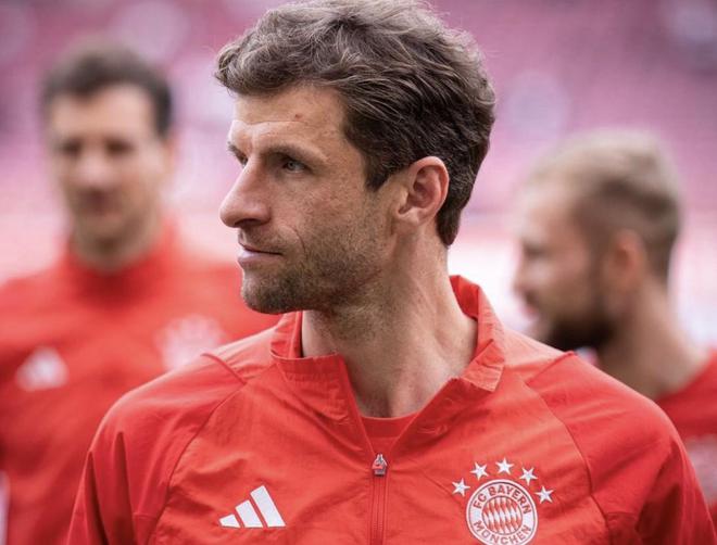 慕尼黑最新動態(tài)，城市生活的溫馨日常