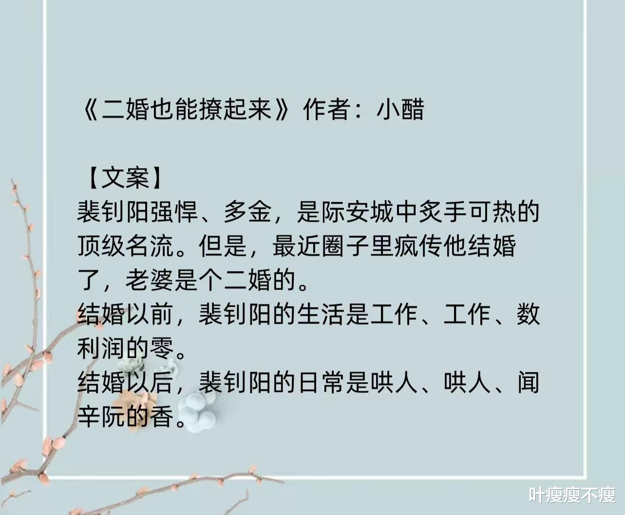 最新二婚小說(shuō)，小巷深處的浪漫故事