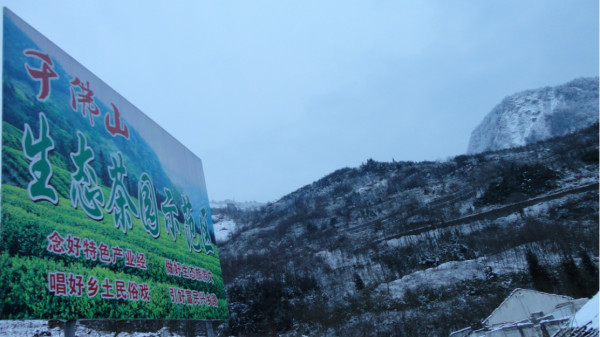 千佛山綿陽最新探索，巷弄深處的獨(dú)特風(fēng)味之旅