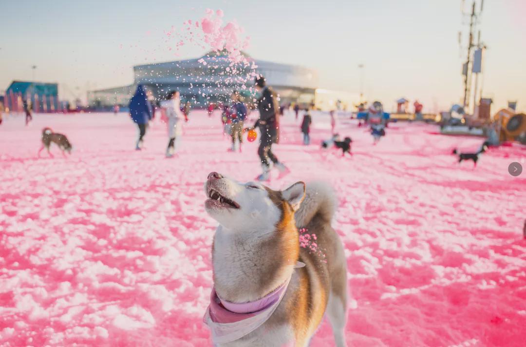 小信的世界最新科技前沿產(chǎn)品亮相，生活變革從此刻啟程