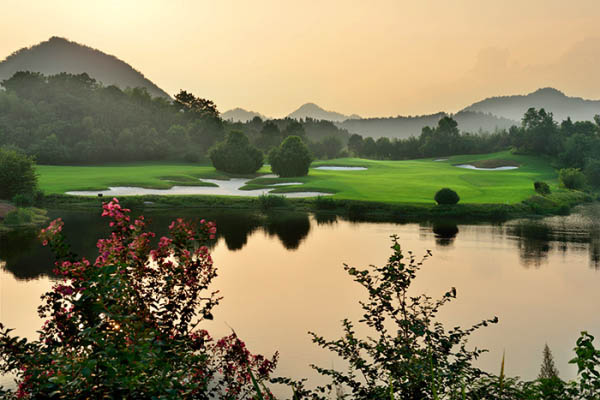 風(fēng)水最新動(dòng)態(tài)，日常小事中的風(fēng)水奧秘與溫馨解讀