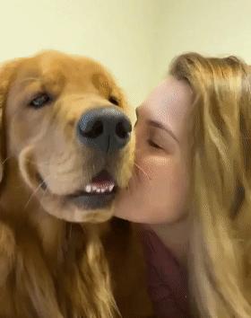 時(shí)代潮流還是陷阱？深度解讀最新趨勢(shì)背后的真相