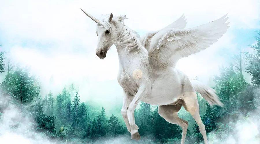 中國(guó)最新獨(dú)角獸，自信與成就感的源泉